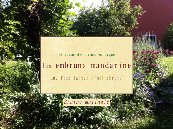 Texte Embruns mandarine