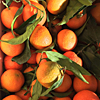 Mandarines